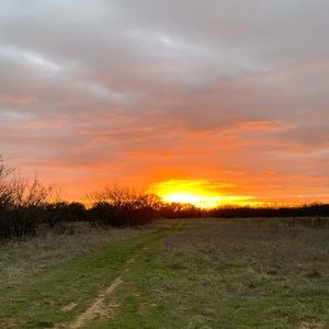 Meet your Posher, Carissa